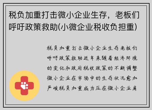 税负加重打击微小企业生存，老板们呼吁政策救助(小微企业税收负担重)