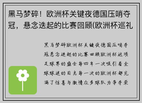 黑马梦碎！欧洲杯关键夜德国压哨夺冠，悬念迭起的比赛回顾(欧洲杯巡礼德国队)